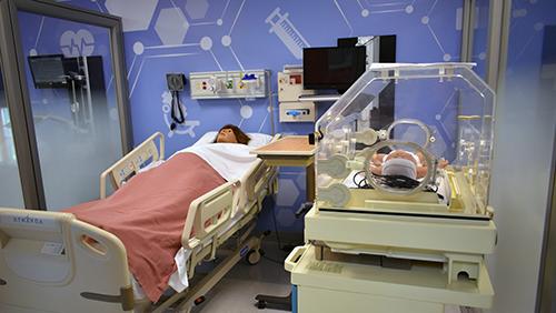 Maternity SIM Model